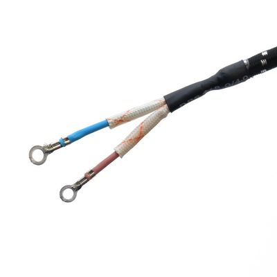 Standaard aardingsstroomkabel verlengkabel aansluiting voor elektrische ijzeren ketel 2 pin gevlochten nominale stroom 10A-16A
