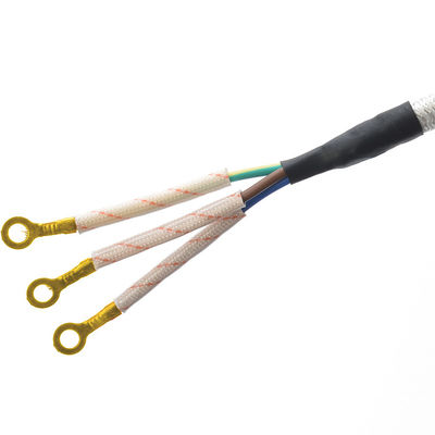 CEE 16A Elektrische ijzeren katoenkabel VDE Zwart Wit Ac-stroomkabel Stoomhuishoudelijk apparaat H03RT-F 3x42/0.15mm Mannelijk eindtype