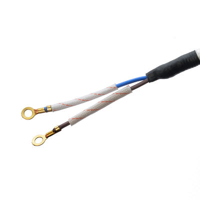 CEE 16A Elektrische ijzeren katoenkabel VDE Zwart Wit Ac-stroomkabel Stoomhuishoudelijk apparaat H03RT-F 3x42/0.15mm Mannelijk eindtype
