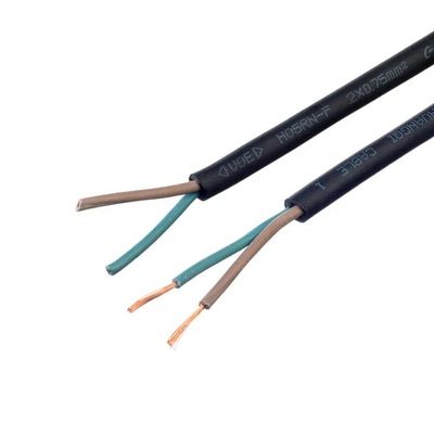 Industriële elektrische bedrading waterdichte kabel toren 60C hittebestendig koper rubber zwaar werk Ho7rn F-single of 2 kern